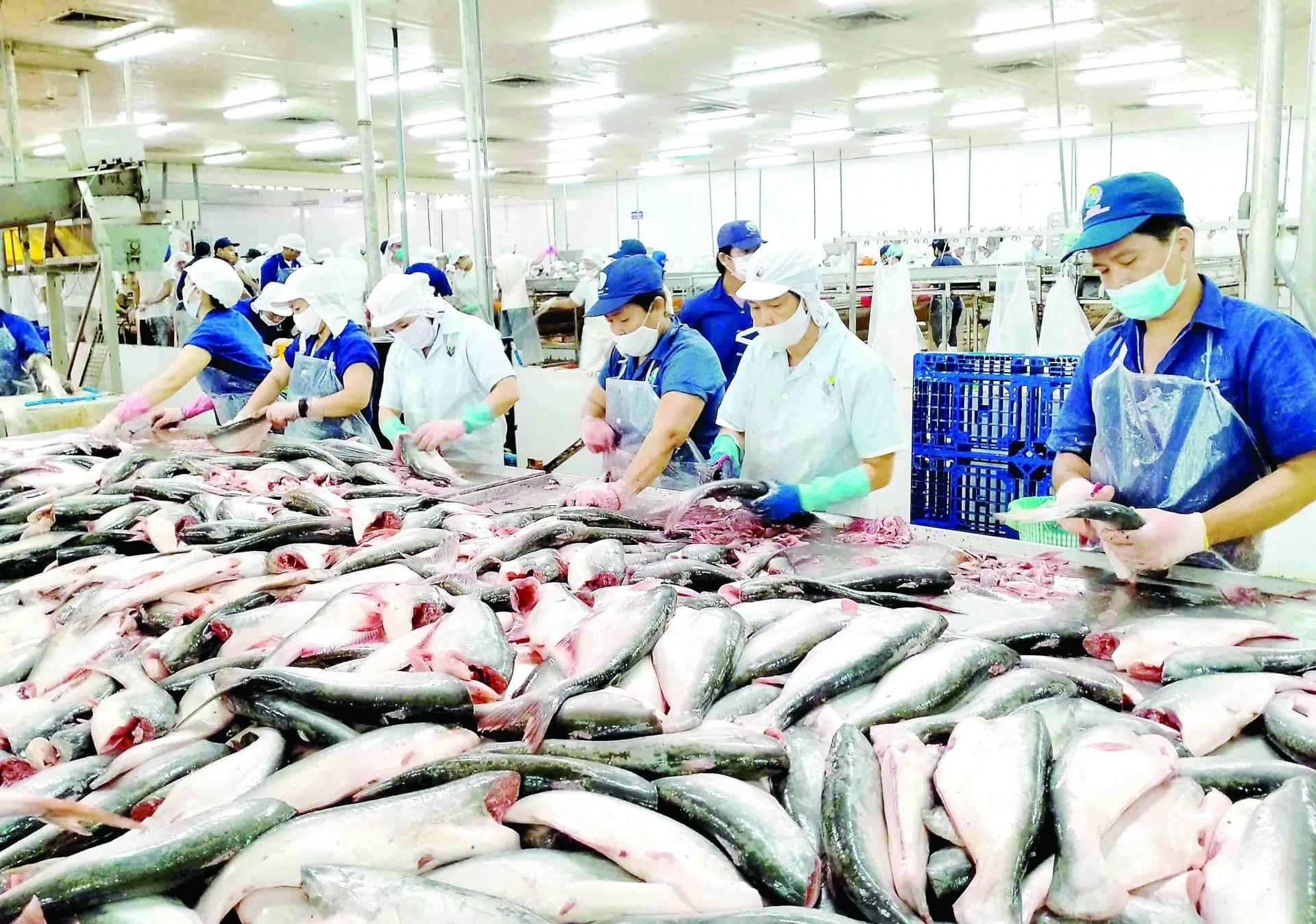 vietnams seafood exports to eu going swimmingly well