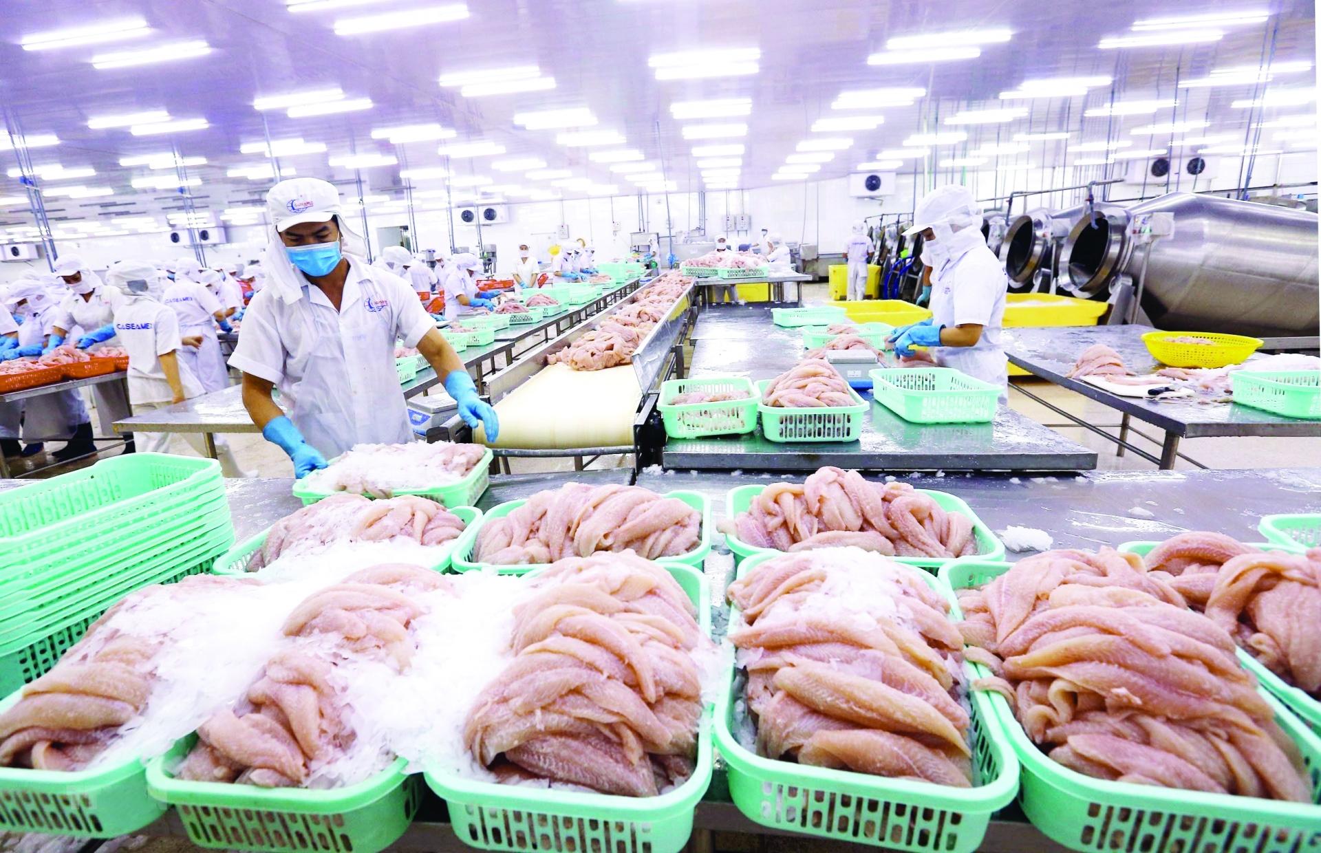 asia pacific deal boosts vietnamese exports