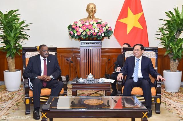 Viet Nam is Angola's priority partner in the region - Ảnh 1.