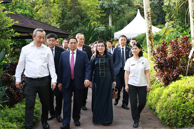 Singapore names orchid after Viet Nam’s Prime Minister and spouse - Ảnh 1.