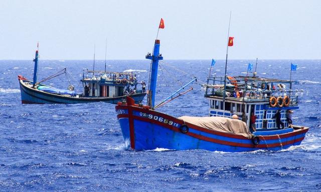 Vietnamese fishing association opposes China’s fishing ban in East Sea - Ảnh 1.