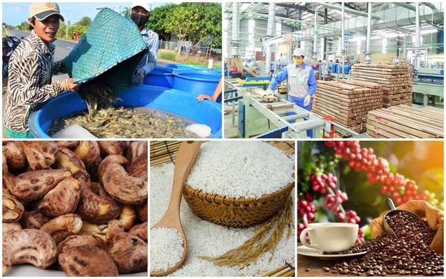 Farm product exports gross US$20.26 billion in five months - Ảnh 1.