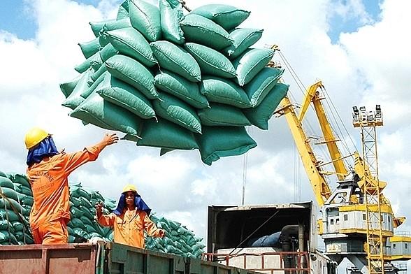 Viet Nam strives for 43 - 43.5 million tons of rice - Ảnh 1.