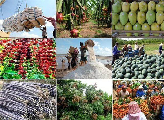Agricultural exports bounce back - Ảnh 1.