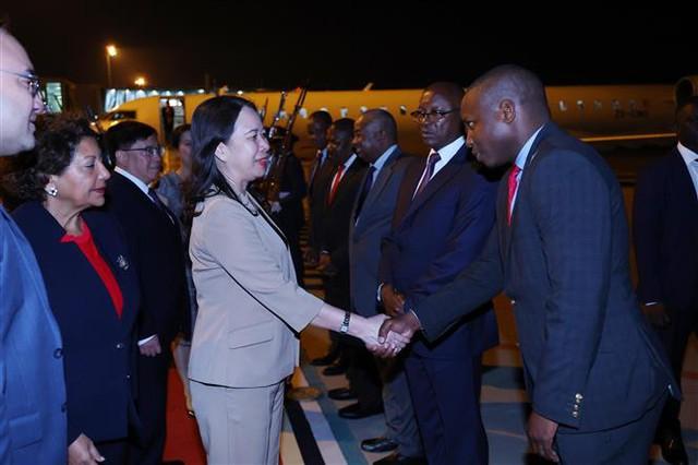 Vice President begins official visit to Mozambique - Ảnh 1.