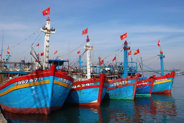 Gov’t determined to end illegal fishing in foreign waters - Ảnh 1.